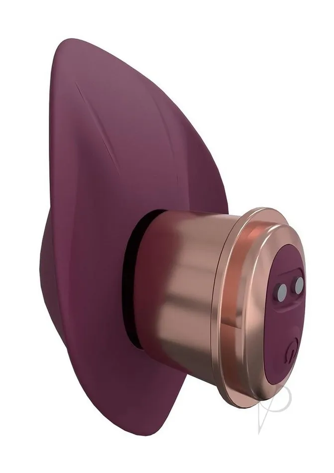 Anal Loveline Ultimate Kit Burgundy